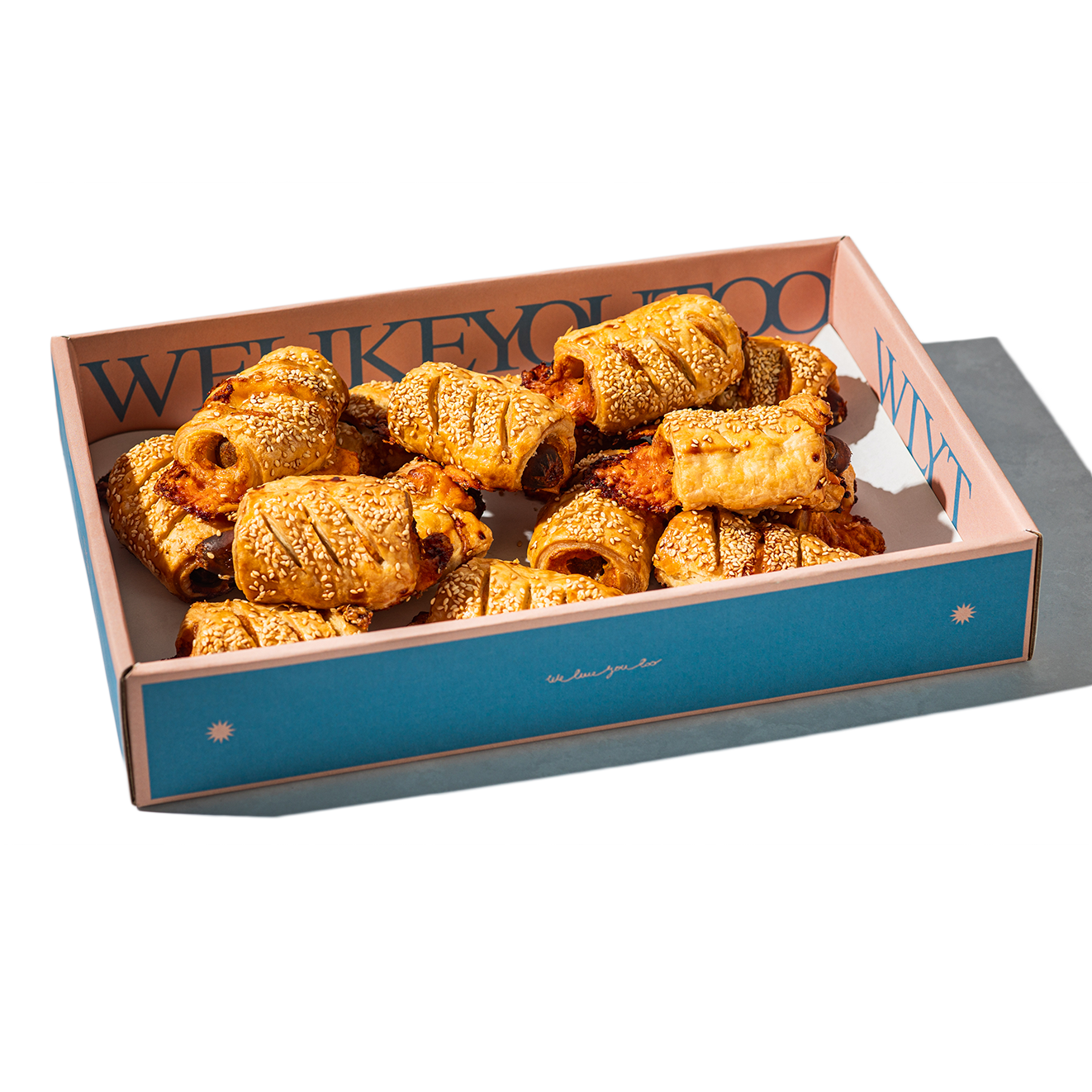 מגש משה בתיבה