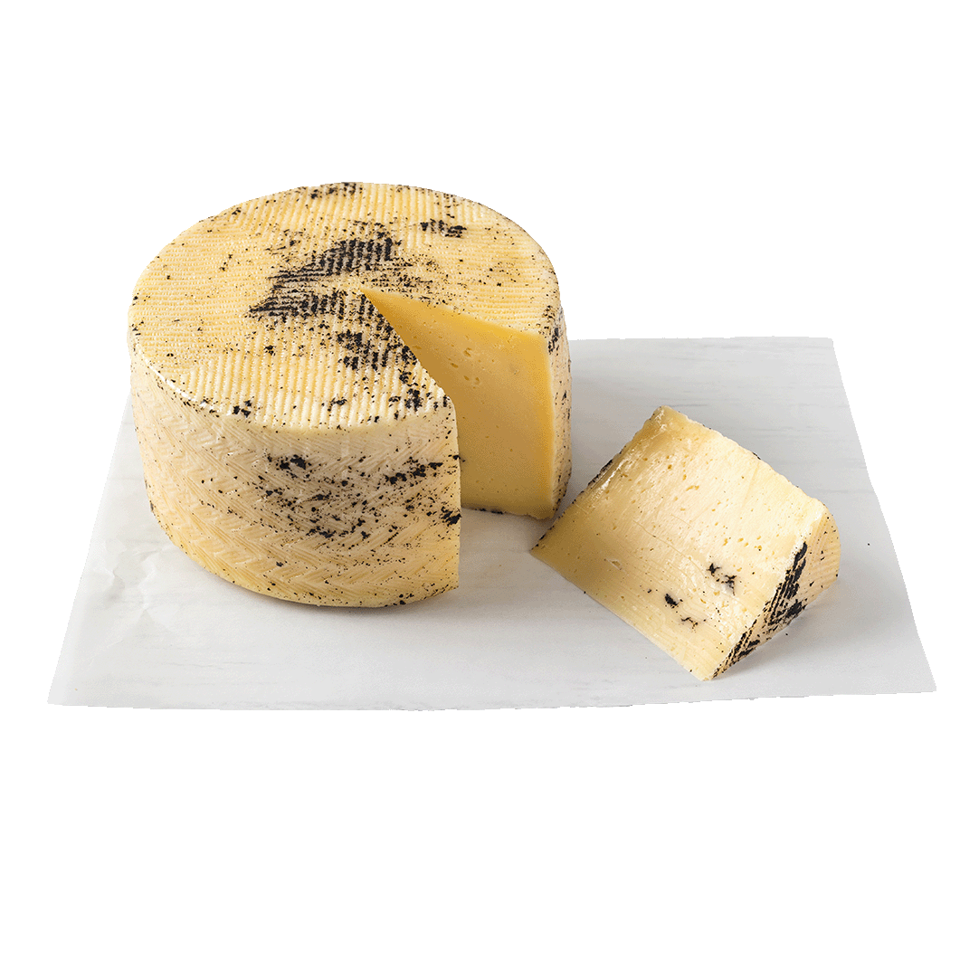 מנצגו כמהין