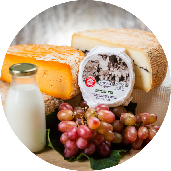 גבינות משק שוורץ